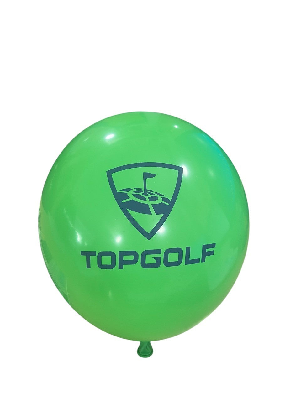 Balloon & Stick (Pack of 20)